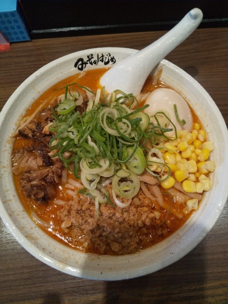 「特製四川味噌らーめん」@味噌らーめん みそのはじめの写真