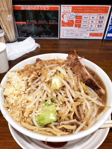 「ラーメン全増し（柔らかめ）」@道の途中の写真