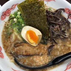 昼の定食:とんこつらぁめん(ちぢれ麺:大盛)＋肉飯 830円