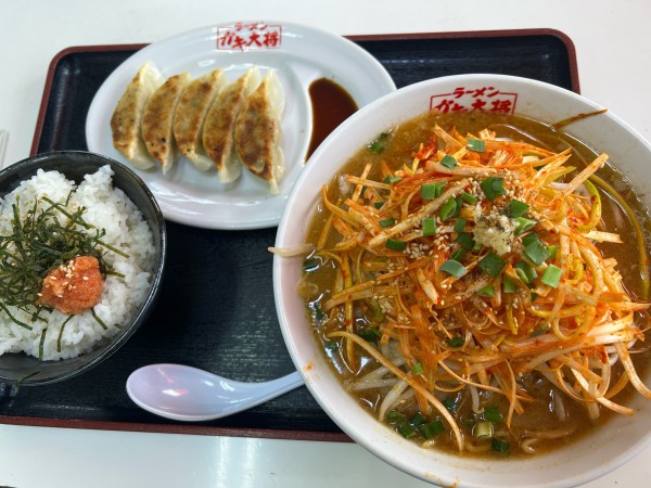「元気セット(ネギ味噌　餃子　ライス)」@ラーメンガキ大将 谷田部店の写真