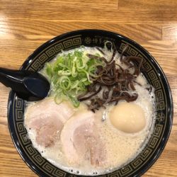 豚骨味玉ラーメン　バリカタ　替玉ハリガネ