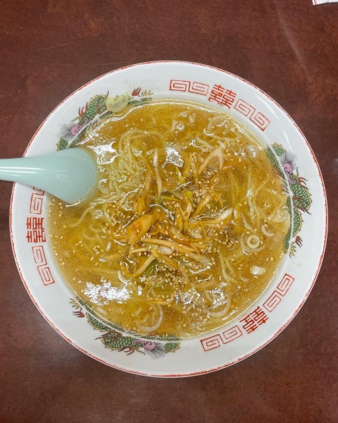 「ねぎラーメン」@支那そば ふなとりの写真