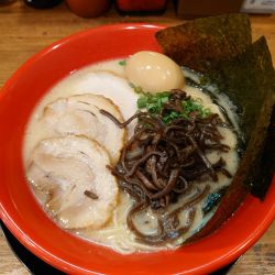 特製鶏豚骨白 細麺 かため