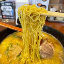 王府めん　半チャーハンランチ　￥１１５５