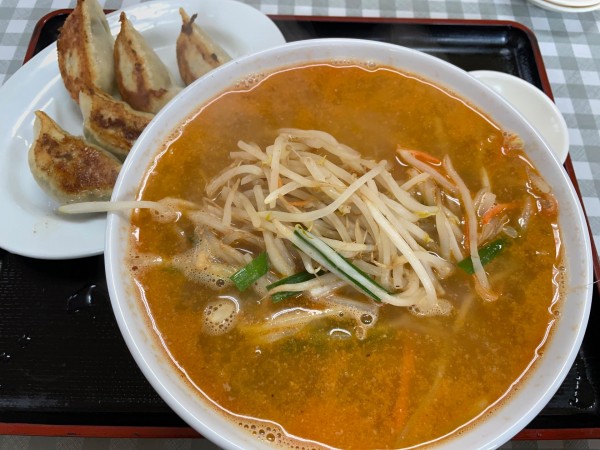 「うまいじゃん（おすすめ）・餃子」@蜂屋 吉水支店の写真