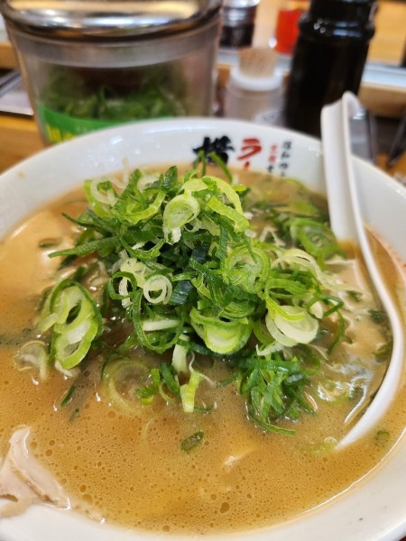 「ラーメン 並」@ラーメン 横綱 川越店の写真
