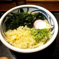 饂飩 根の津の画像