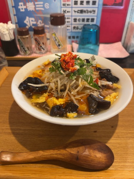 「サンラータンメン」@中華川食堂の写真