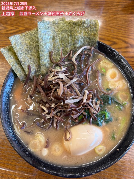 「並盛ラーメン+味付玉子+きくらげ」@上越家の写真