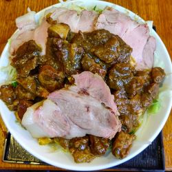 もつカレー半チャーシュー