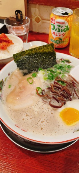「ラーメン800円麺半 明太ご飯300円」@博多ラーメン 琉の写真