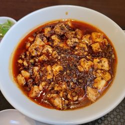 四川マーボー面