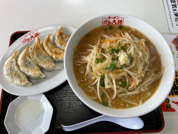 「味噌ラーメン」@ラーメンガキ大将 谷田部店の写真