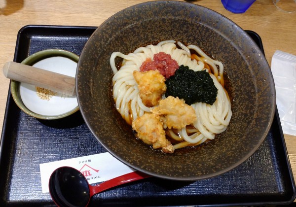 「梅と青海苔の鶏天ぶっかけうどん(900円)」@山下本気うどん 川崎銀柳街の写真