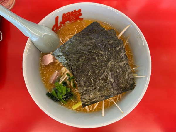 「特製味噌ネギラーメン 普通盛」@ラーメン山岡家 谷田部店の写真