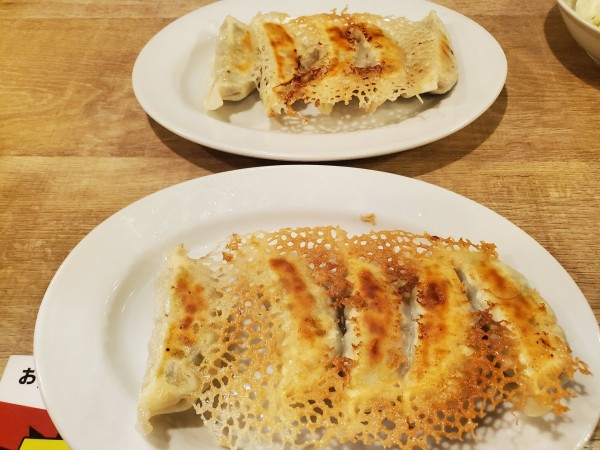 「肉餃子・9種野菜餃子」@東京餃子軒 川崎店の写真