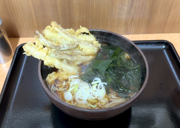 「ごぼう天そば(420円)」@そば処 味の里の写真