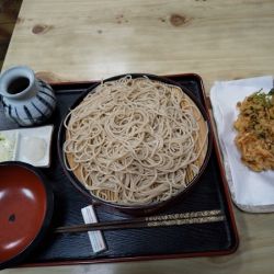 きそば 更科の画像