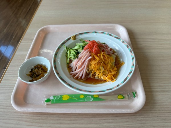 「冷し中華（並盛・140g）750円」@食事処 大の字の写真