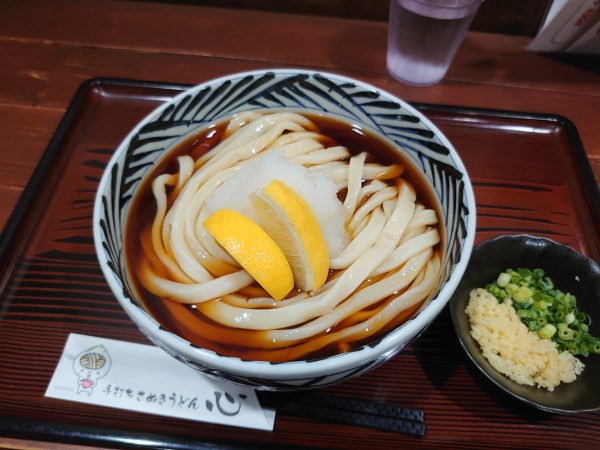 「おろしぶっかけうどん 大」@手打ちさぬきうどん 心の写真