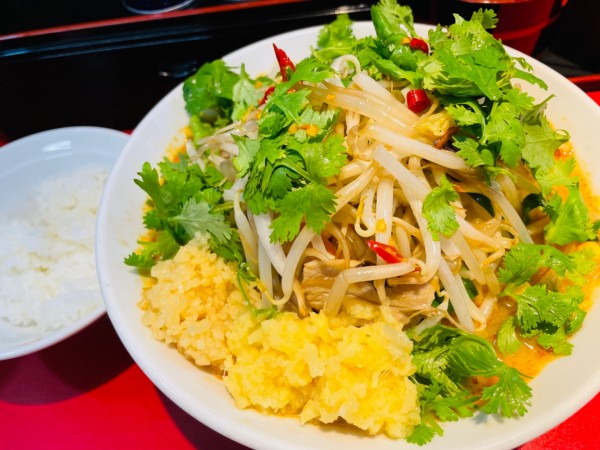 「トムヤムタンメン 950円 中盛 80円 パクチー増 50円」@濃厚タンメン かめしげの写真