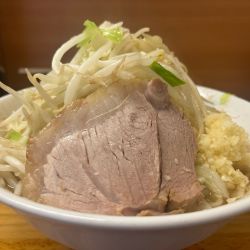 少なめ（ニンニク野菜多め）