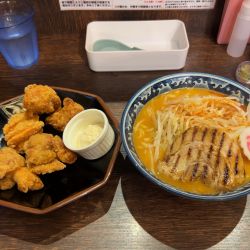 からとん 4辛 中太麺 から揚げ タルタルソース