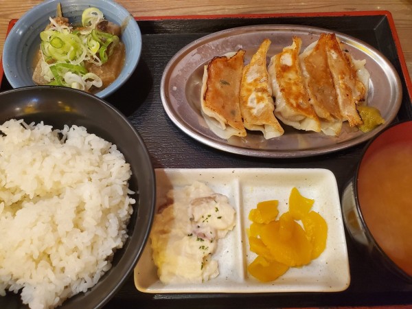 「餃子定食」@居酒屋革命 酔っ手羽 関内店の写真