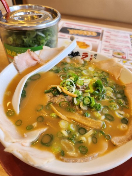 「チャーシューメン」@ラーメン 横綱 南インター店の写真