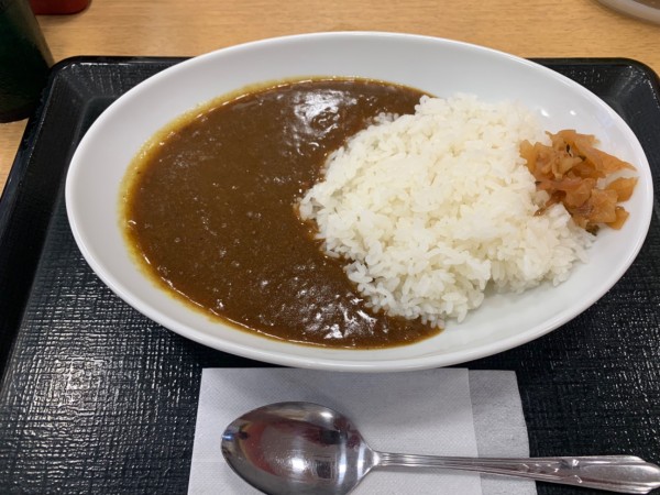 「和風カレー 490円」@なか卯 所沢東町店の写真