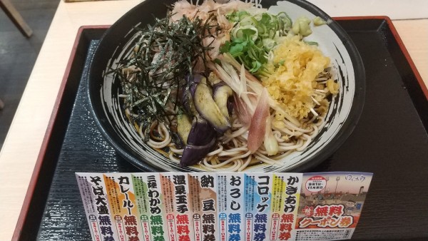 「冷し薬味そば(¥650)」@ゆで太郎 竹橋店の写真