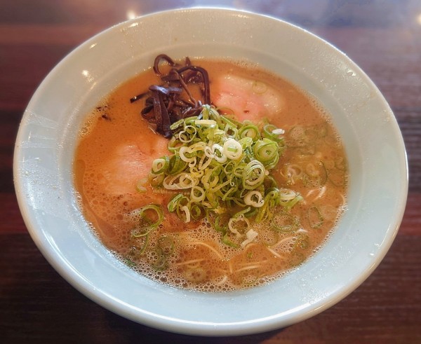 「のうとん」@博多とんこつ 真咲雄の写真