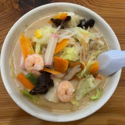 宮ちゃんぽんめん