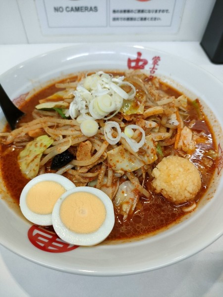 「北極シャキシャキ」@蒙古タンメン中本 草加店の写真