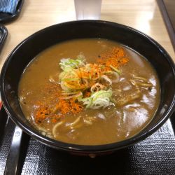 カレーそば（520円）