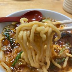 スタミナラーメンHOT1.5