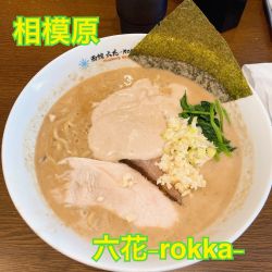 ドロリッチ鶏白湯