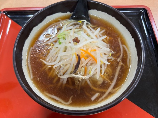 「もやしラーメン」@ホテーフーヅ 伊那店の写真