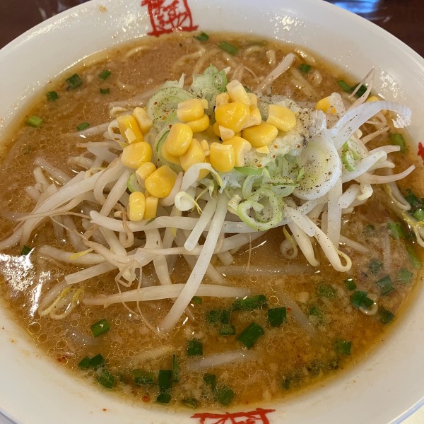 「味噌ラーメン」@おおぎやラーメン 太田新井町店の写真