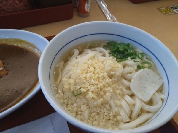 「はいからうどん」@なか卯 京都八条口店の写真