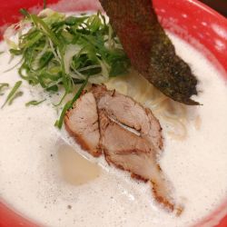 博多風神とんこつ