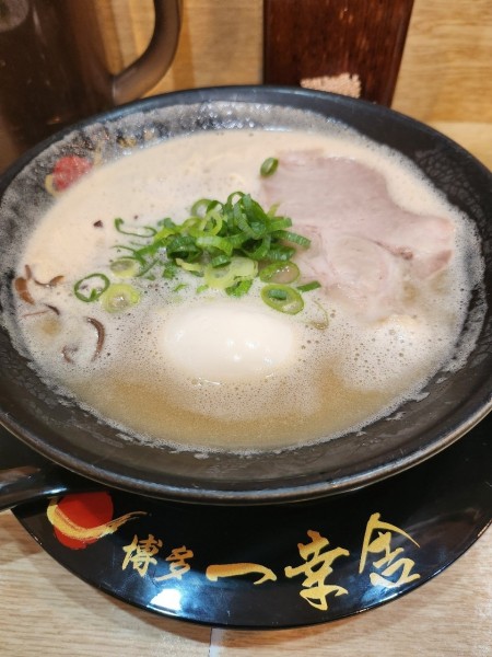 「味玉ラーメン🍜」@博多一幸舎 京都拉麺小路店の写真