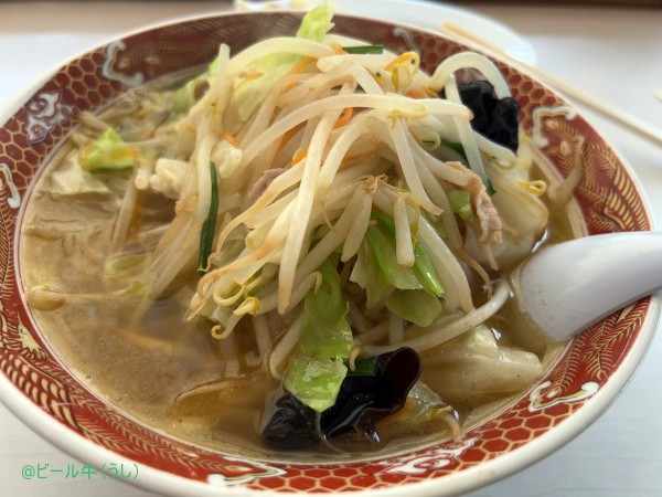 「タンメン(850円)、餃子(400円)」@あぢとみ食堂の写真