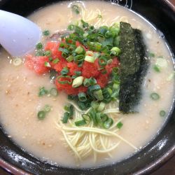 博多めんたいこラーメン
