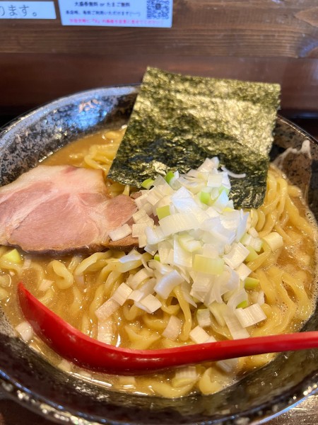 「煮干しラーメン大盛り」@煮干しらーめん 渡辺商店の写真