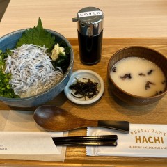 閖上 港食堂HACHIの画像