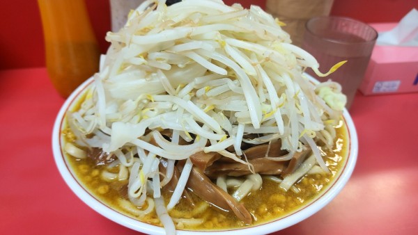 「大カレーラーメン・メンマ(太麺 野菜大盛) ¥1,100」@ラーメン 麺徳 東陽町店の写真