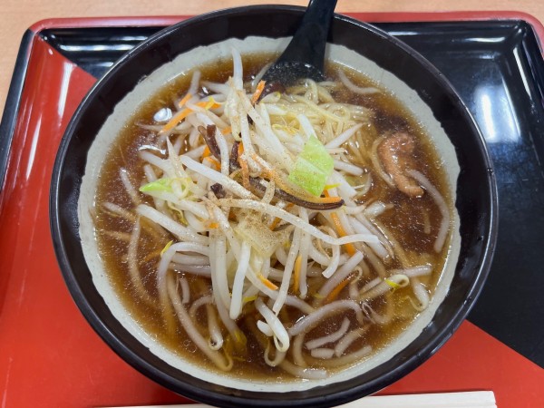 「もやしラーメン」@ホテーフーヅ 伊那店の写真