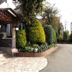 レストラン あすかの画像