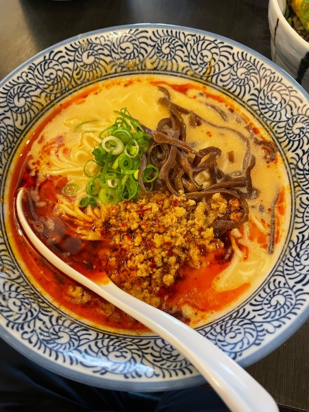 「坦々麺 1,000円」@濃厚鶏そば 晴壱の写真